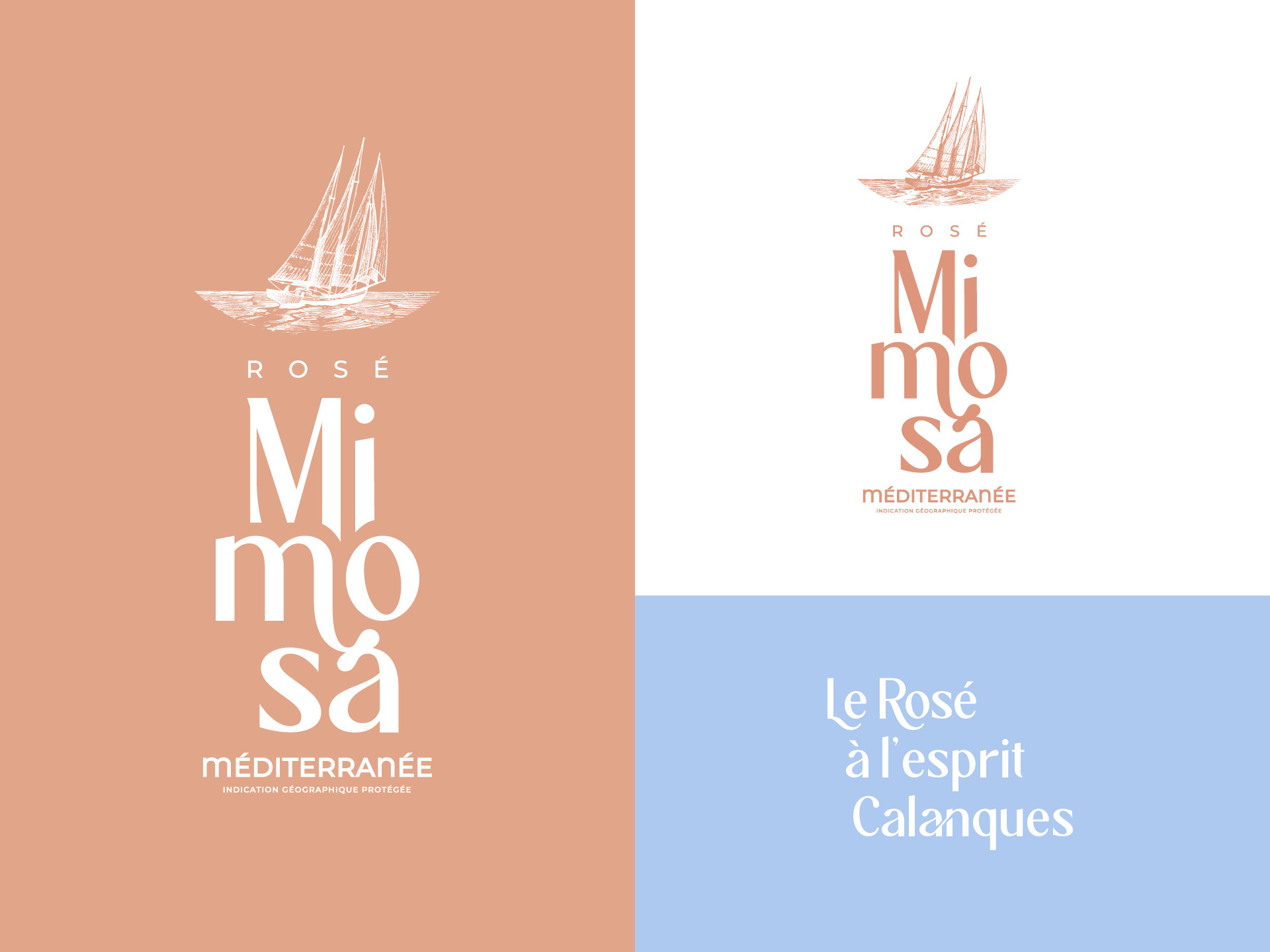 Agence marketing et communication du vin Champagne et spiritueux